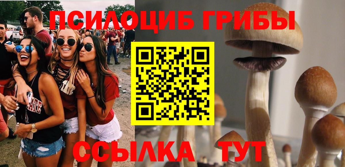 Ярославль  Галлюциногенные грибы мицелий  Вход с VPN 
