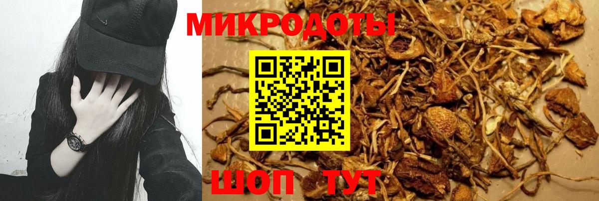 Псилоцибиновые грибы Magic Shrooms Ярославль